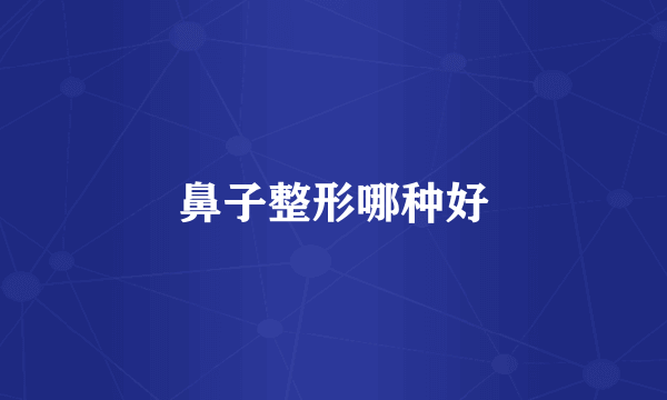 鼻子整形哪种好