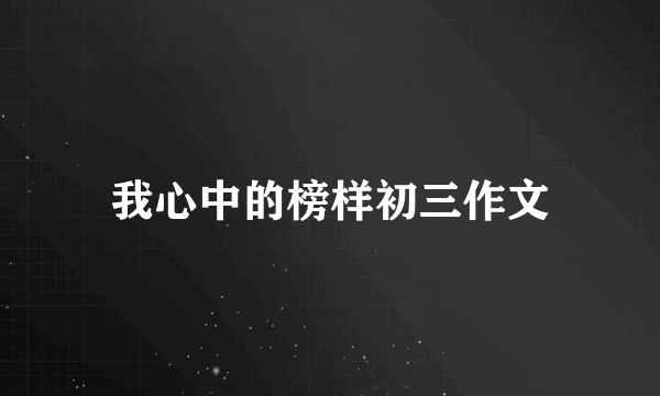 我心中的榜样初三作文