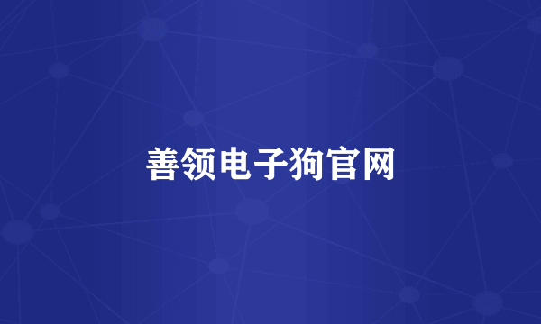善领电子狗官网