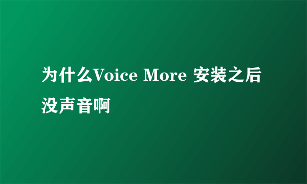 为什么Voice More 安装之后没声音啊
