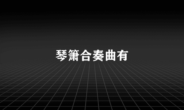 琴箫合奏曲有