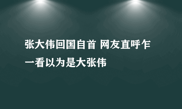 张大伟回国自首 网友直呼乍一看以为是大张伟