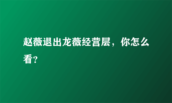 赵薇退出龙薇经营层，你怎么看？