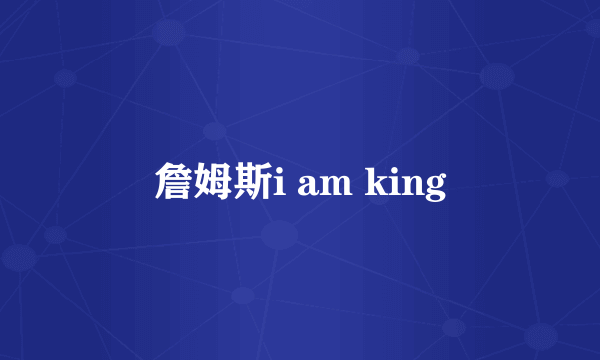 詹姆斯i am king