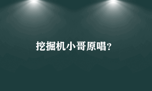 挖掘机小哥原唱？