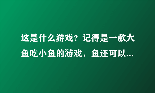 这是什么游戏？记得是一款大鱼吃小鱼的游戏，鱼还可以进行繁殖。以前好像叫“进化”后来找不着了，谁有？