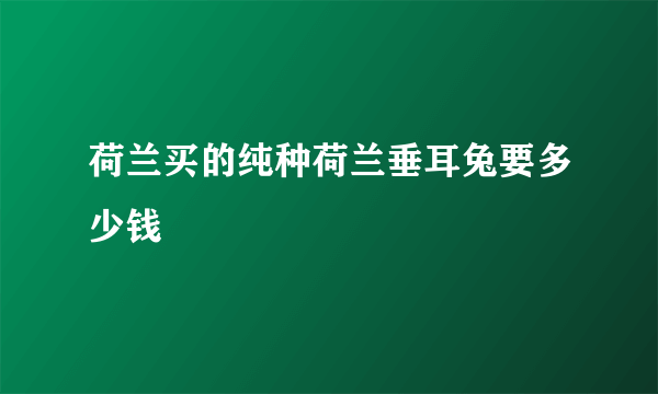 荷兰买的纯种荷兰垂耳兔要多少钱