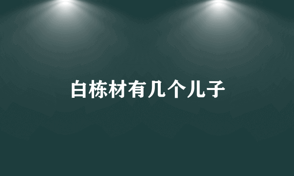 白栋材有几个儿子