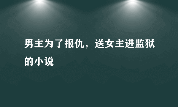 男主为了报仇，送女主进监狱的小说