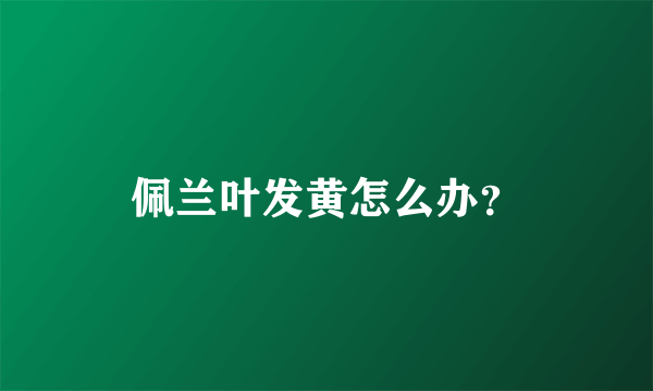 佩兰叶发黄怎么办？