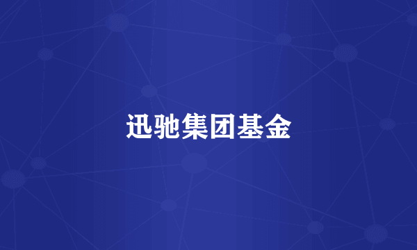 迅驰集团基金