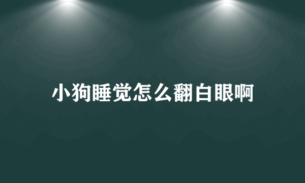 小狗睡觉怎么翻白眼啊