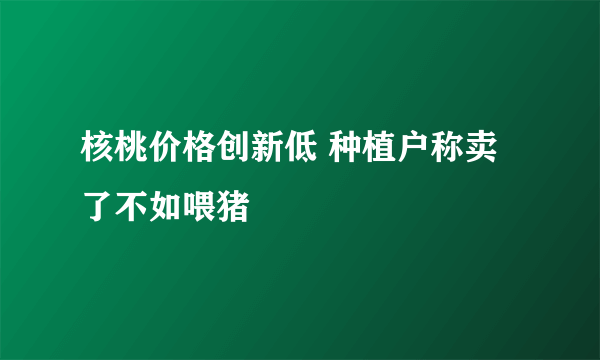 核桃价格创新低 种植户称卖了不如喂猪