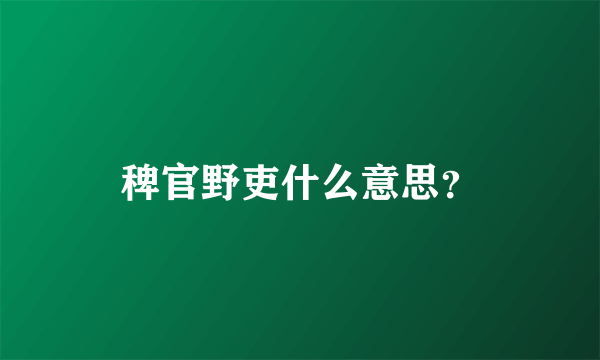 稗官野吏什么意思？