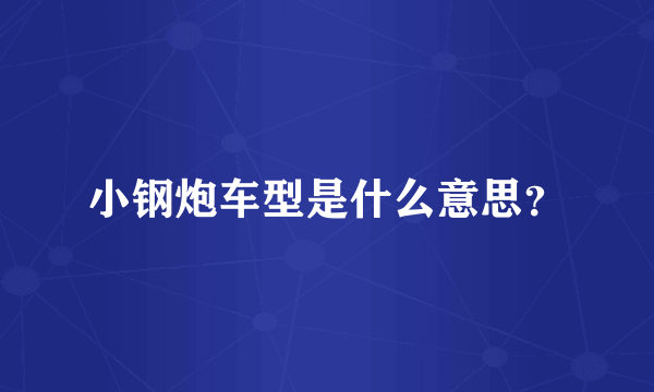 小钢炮车型是什么意思？