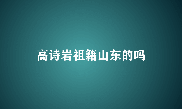 高诗岩祖籍山东的吗