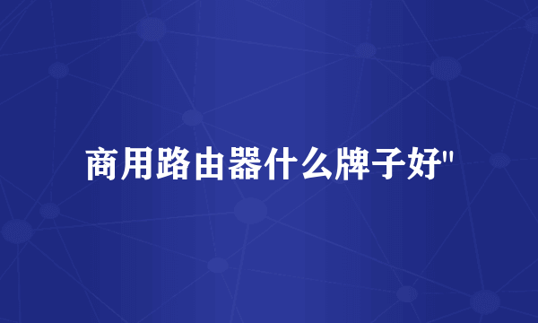 商用路由器什么牌子好