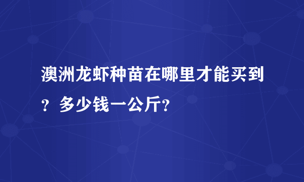 澳洲龙虾种苗在哪里才能买到？多少钱一公斤？