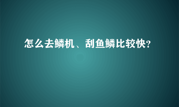 怎么去鳞机、刮鱼鳞比较快？