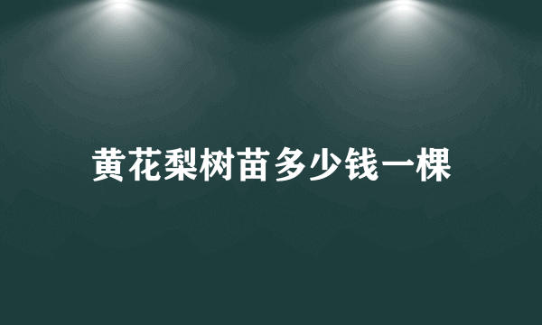 黄花梨树苗多少钱一棵