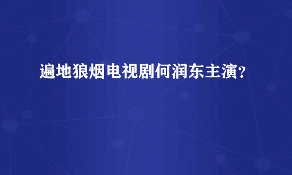 遍地狼烟电视剧何润东主演？