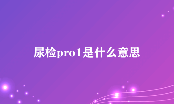 尿检pro1是什么意思