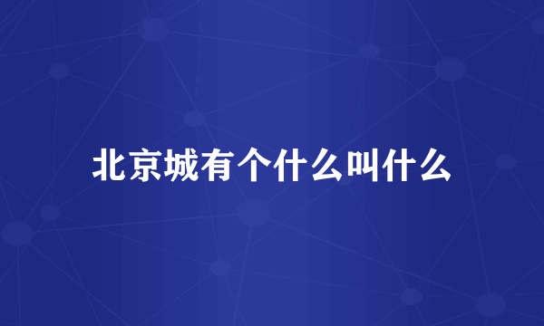 北京城有个什么叫什么