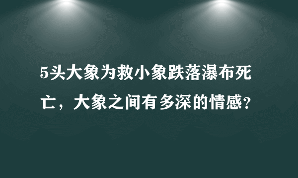 5头大象为救小象跌落瀑布死亡，大象之间有多深的情感？