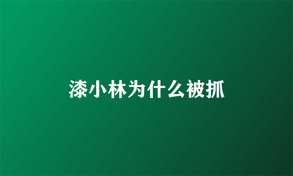 漆小林为什么被抓