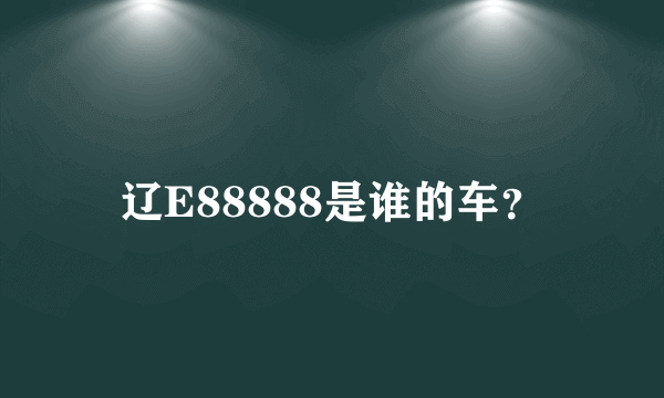 辽E88888是谁的车？