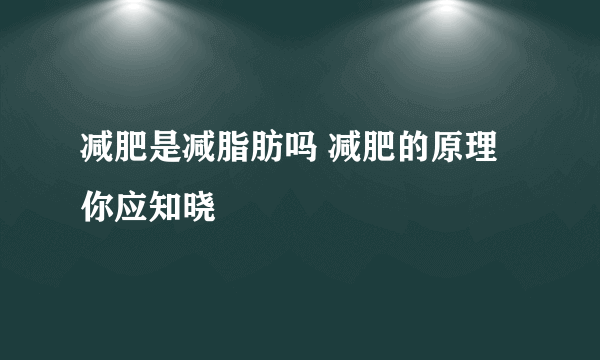 减肥是减脂肪吗 减肥的原理你应知晓