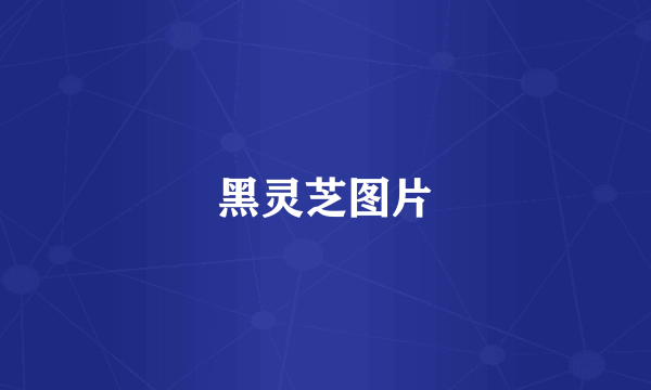 黑灵芝图片