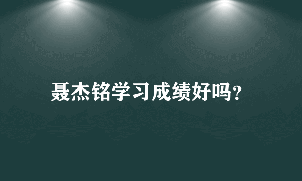 聂杰铭学习成绩好吗？