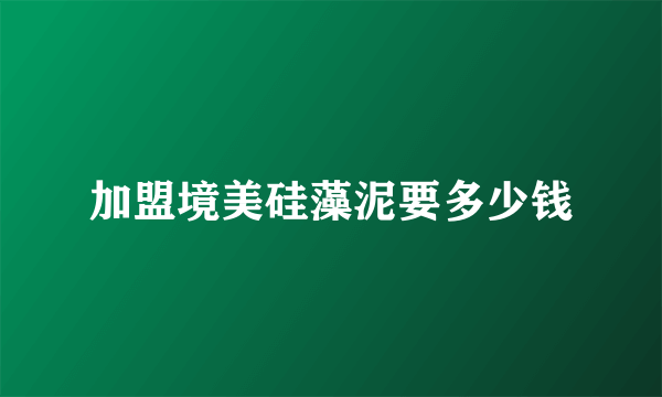 加盟境美硅藻泥要多少钱