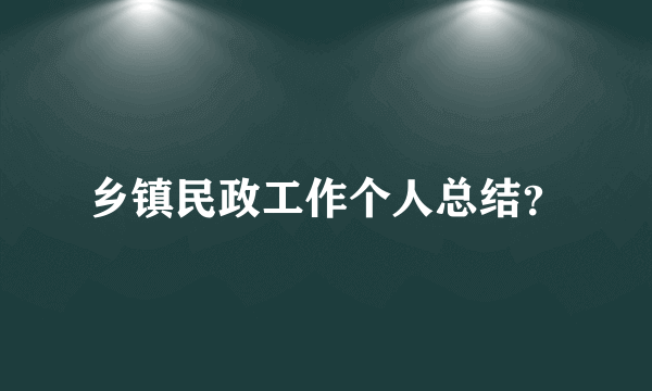 乡镇民政工作个人总结？