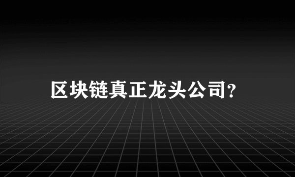 区块链真正龙头公司？