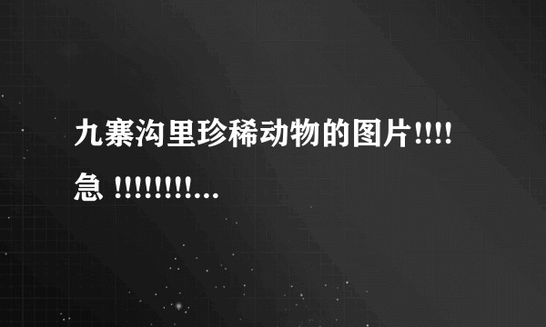 九寨沟里珍稀动物的图片!!!!急 !!!!!!!!!!!!!!！