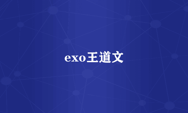 exo王道文