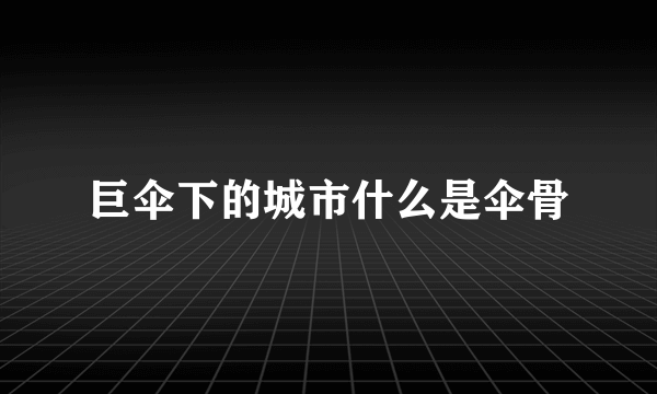 巨伞下的城市什么是伞骨