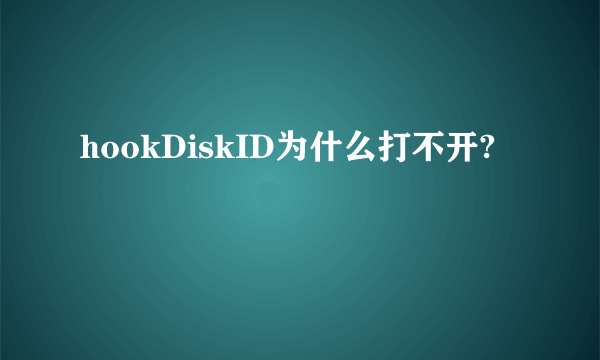hookDiskID为什么打不开?
