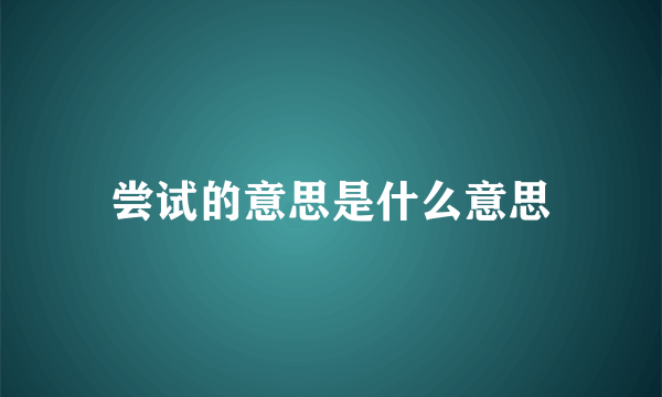 尝试的意思是什么意思