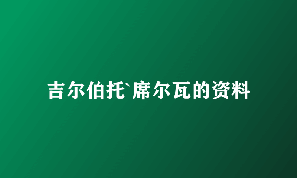 吉尔伯托`席尔瓦的资料