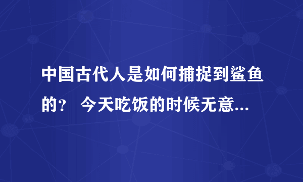 中国古代人是如何捕捉到鲨鱼的？ 今天吃饭的时候无意想起了一个视频看到情况。然后就想起了鱼翅。