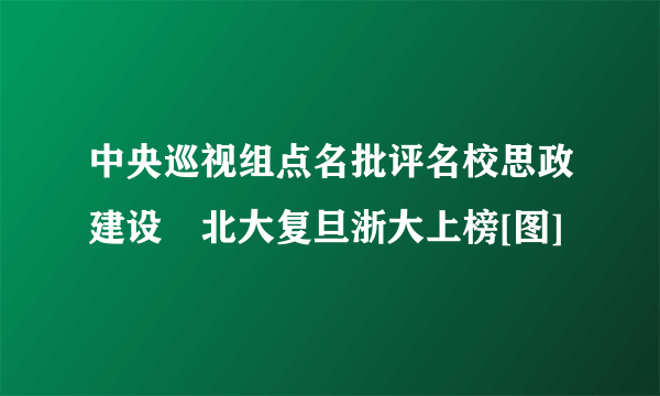 中央巡视组点名批评名校思政建设　北大复旦浙大上榜[图]