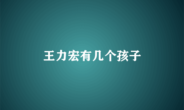 王力宏有几个孩子