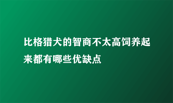 比格猎犬的智商不太高饲养起来都有哪些优缺点