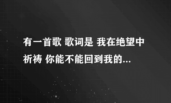 有一首歌 歌词是 我在绝望中祈祷 你能不能回到我的身边 还有 一句是就算等来的是一句谎言