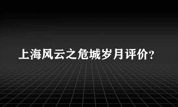上海风云之危城岁月评价？