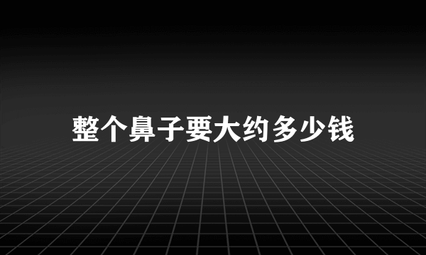 整个鼻子要大约多少钱