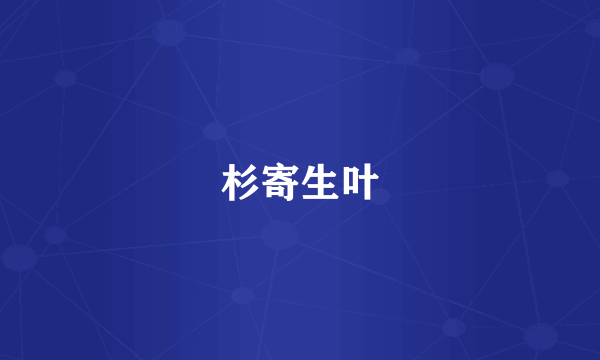 杉寄生叶